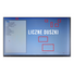 Matryca BOE NT140WHM-N41 V8.1 SLIM / 14'' HD (1366 x 768) / 30 pin eDP / Klasa A-